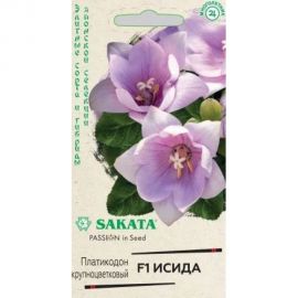 Ширококолокольчик платикодон ГАВРИШ крупноцветковый, Исида F1, 4 шт, Саката серия Эксклюзив 1071858330 