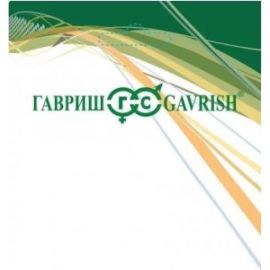 Козлятник ГАВРИШ Ялгинский (сидерат) 0,5 кг 1071858512 