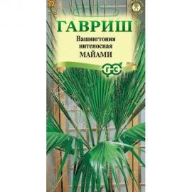 Вашингтония нитеносная ГАВРИШ Майами 3 шт. 10005835 