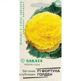 Бегония ГАВРИШ Фортуна Голден клубнев. пионовид. гранул. 4 шт. пробирка Саката Эксклюзив 1070008588 