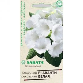 Семена ГАВРИШ Глоксиния Аванти белая, гранулированные, 4 шт., пробирка, Саката, серия Эксклюзив 1071857048 