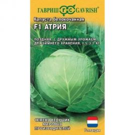 Капуста ГАВРИШ белокочанная Атрия F1 10 шт, для квашения, Голландия 5744 