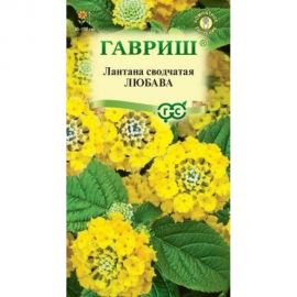 Лантана сводчатая ГАВРИШ Любава 0.1 г 003329 