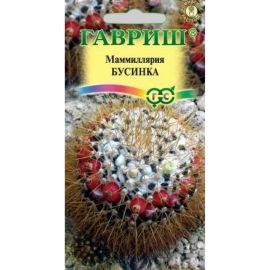 Семена ГАВРИШ Маммиллярия (Кактус) Бусинка 2 шт. 1026998235 