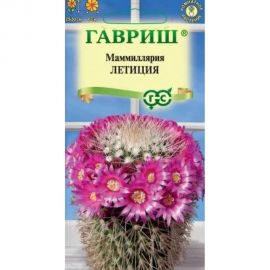 Маммиллярия ГАВРИШ Бакеберга (Кактус) Летиция 2 шт. 1071854722 