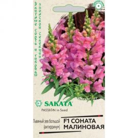 Семена ГАВРИШ Антирринум Львиный зев Соната малиновая 7 шт Саката серия Элитная клумба 1071856921 