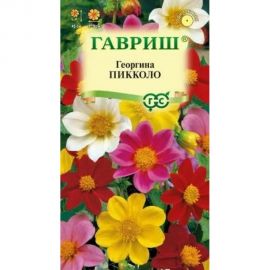 Семена ГАВРИШ Георгина Пикколо, смесь 0.3 г 10000605 