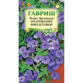 Семена ГАВРИШ Флокс Очарование фиолетовое, Друммонда, 0,05 г 10006744 