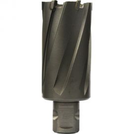 Сверло кольцевое (29х55 мм; TCT; Weldon 19/One-touch) Euroboor HMLU.290 