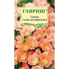 Годеция ГАВРИШ Слава Кельведона 0,05 г 1071857571 