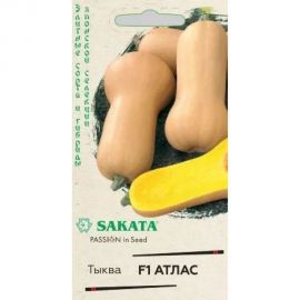 Семена ГАВРИШ Тыква Атлас, мускатная 5 шт Саката 1912236346 