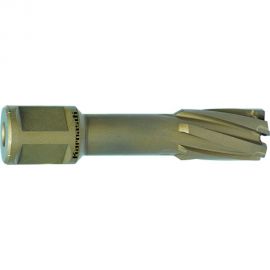 Сверло корончатое (19х55 мм; Weldon 19) Karnasch 20.1316-019 