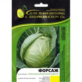Форсаж F1 семена капусты белокочанной 50 шт ЭС мини ELITE PLANT-BREEDING & SEED PRODUCTION Co. 1999942744 