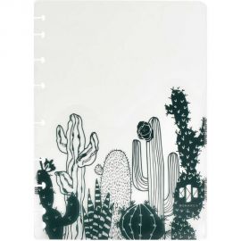 Папка-разделитель для записной книжки Феникс+ КАКТУСЫ полипропилен, 3 шт, в наборе, формат А5, 21x16 см, одно отделение, перфорация, УФ-печать 48312 