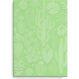 Записная книжка Феникс + КАКТУСЫ А6+ 96 листов интегральный переплет многоуровневый конгрев матовая ламинация блок - белый офсет 80 г/кв. м печать в две краски 50268 