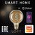 Умная лампа Zetton LED Wi-Fi Bulb G95SP E27 4Вт 2700К Loft ZTSHLBLWWE272RU – изображение 8
