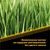 Смазка для беговых дорожек EFELE 210 мл 0094335 – изображение 6