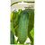 Семена САДОВИТА Огурец Клодин F1 5 семечек 00160686 – изображение 4