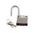 Висячий замок Apecs PDS-65-40 19634 – изображение 2