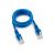 Патч-корд Cablexpert UTP PP12-1M/B кат.5e, 1м, литой, многожильный синий PP12-1M/B 