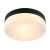 Потолочный светильник ARTE LAMP A6047PL-2BK 
