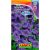Семена Аэлита Петуния Суперкаскадная F1 синяя, драже в пробирке 10 шт. 4601729034619 