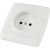 Розетка, белая 2П 10А 250В TDM Онега SQ1805-0015 