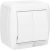 2-клавишный выключатель EKF Владивосток 10А IP54 белый EQR16-023-30-54 