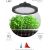 Светодиодный фитопрожектор для растений ЭРА FITO-50W-RB-LED-UFO красно-синего спектра 50 Вт, Б0053280 – изображение 5