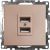 2-местная USB розетка (механизм) STEKKER GLS10-7115-02, 250B, 2,4А, серия Катрин, шампань 39602 