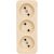 Розетка ООО Ливны-Электро РА 10-014 3-х местная, слоновая кость РА 6745 