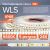 Светодиодная лента Wolta Decor для улицы и дома SMD2835 12Вт 6500К 24В IP65 120led/m WLS2835-12W/6500/24S120-01 – изображение 2