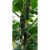 Баварец F1 семена огурца 20 шт ЭС мини ELITE PLANT-BREEDING & SEED PRODUCTION Co. 1071860537 – изображение 2
