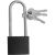Навесной замок ТУНДРА основание 37 мм, длинная дужка, 3 ключа, подвес 9284052 – изображение 2