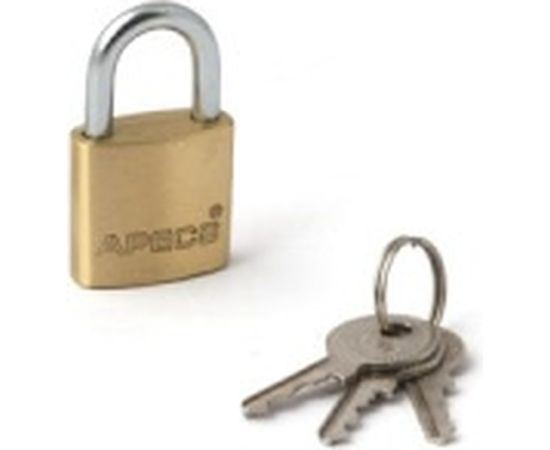 Висячий замок APECS PDB-01-25 BC1125 10790 