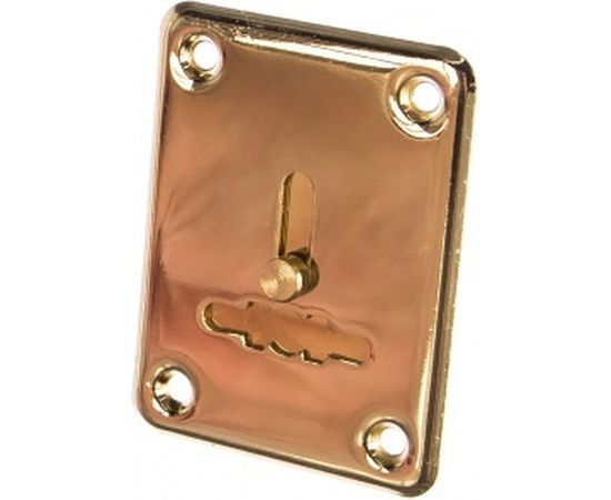 Декоративная накладка APECS DP-S-01-G-shutter 16345 