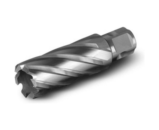 Сверло кольцевое (23х50 мм; HSS) bohre 6072 