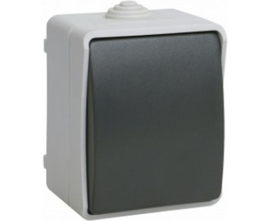 1-клавишный выключатель IEK ОП Форс 10А 250В IP54 BC20-1-0-ФСр ИЭК EVS10-K03-10-54-DC 