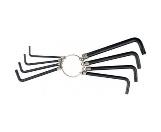 Набор имбусовых ключей TORX 9шт, оксидированные, на кольце SPARTA 112667 