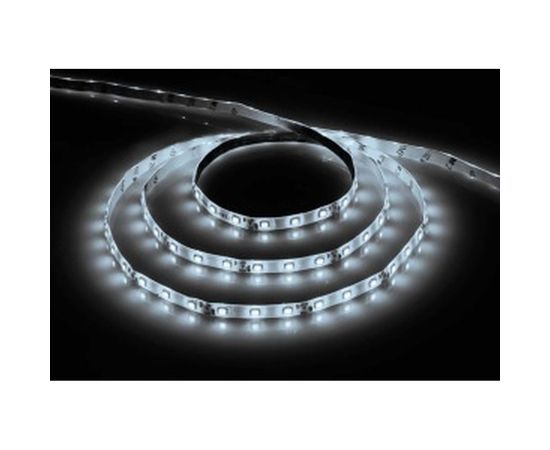 Cветодиодная LED лента 60SMD(2835)/м, 4.8Вт/м, 1м, IP20, 12V белый холодный Feron LS603 27744 – изображение 2