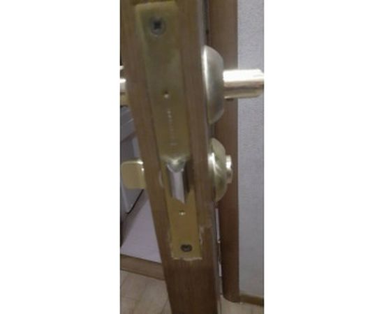 Защелка с фиксацией APECS 5600-WC-G 13380 – изображение 6