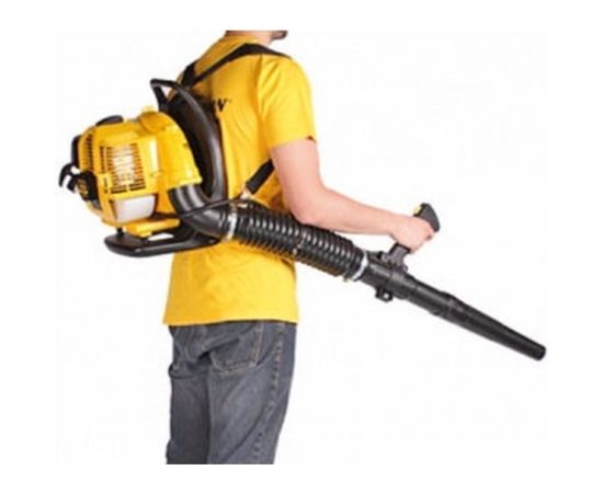 Воздуходувка Champion GBR333 – изображение 2