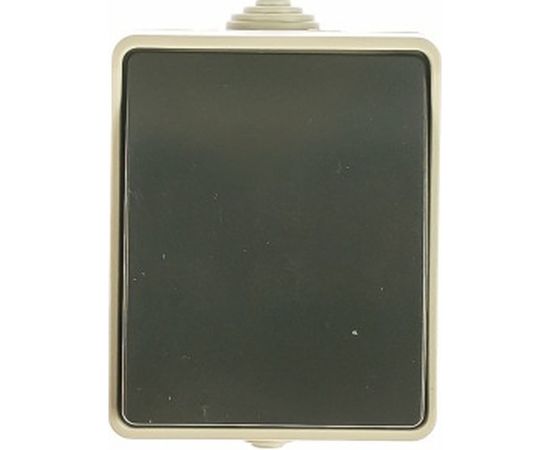 1-клавишный выключатель IEK ОП Форс 10А 250В IP54 BC20-1-0-ФСр ИЭК EVS10-K03-10-54-DC – изображение 2