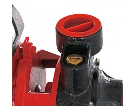 Садовый насос QUATTRO ELEMENTI Giardino 601 Ci 910-126 – изображение 4