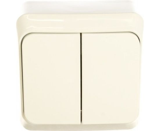 Выключатель Schneider Electric 2-клавишный ОП Этюд 10А белый SchE BA10-002B 