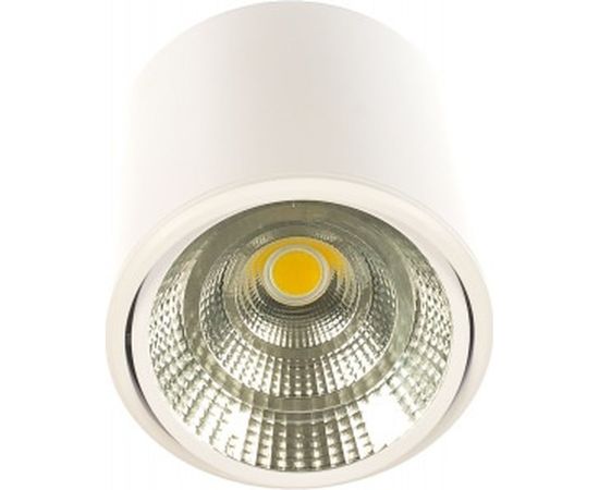 Поворотный светодиодный светильник FERON AL516 15W, 1200Lm, 30 градусов, белый 29868 