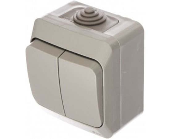 Выключатель Schneider Electric 2-клавишный ОП Этюд 10А IP44 серый SchE BA10-042C 