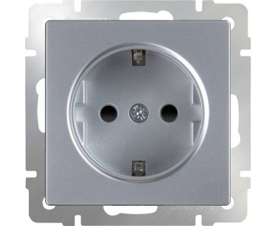 Розетка с заземлением, безвинтовой зажим Werkel WL06-10-01 a041201 