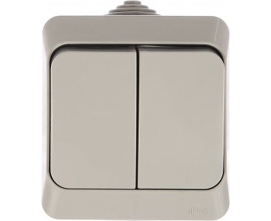 Выключатель Schneider Electric 2-клавишный ОП Этюд 10А IP44 серый SchE BA10-042C – изображение 2