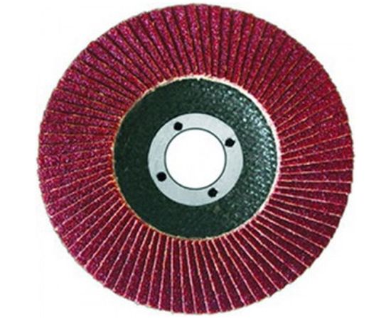 Диск лепестковый торцевой конический универсальный (125х22,2 мм; К40) Энкор 20520 